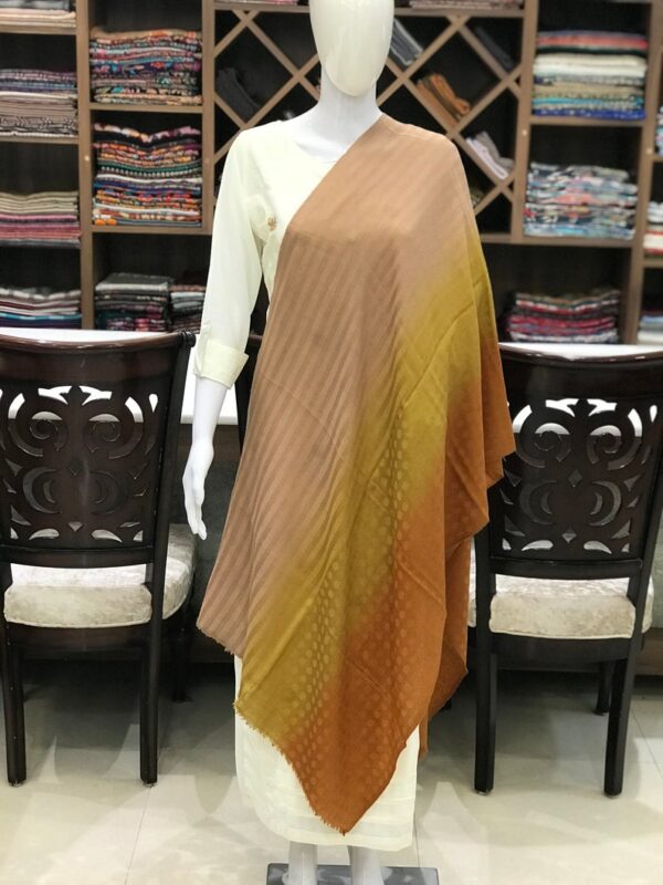 Pure Pashmina Ombre Stole