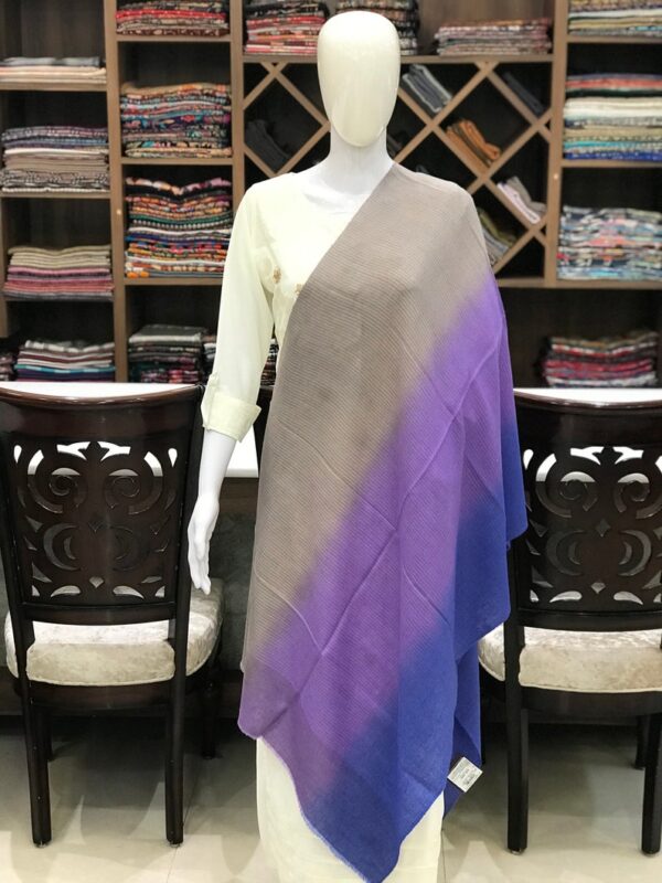 Pure Pashmina Ombre Stole