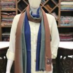 Pure Pashmina Ombre Stole