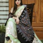 Black Allover Sozni Pure Pashmina Hand Embroidered Shawl model
