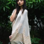 Pearl & Cut Dana work Pure Pashmina Stole