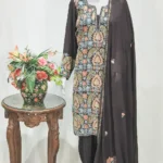 Zari & Aari Fusion Kashmiri Woman Suit