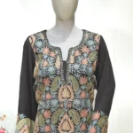 Zari & Aari Fusion Kashmiri Woman Suit