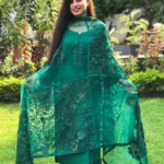 Kashmiri Salwar Suit with Jaal Work Organza Dupatta
