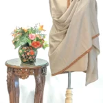 Burlywood Beige Pure Pashmina Shawl With Sozni Hand Embroidery