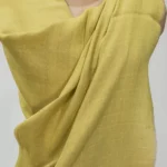 Green and Moss Green Pure Pashmina and Zari Wooven Shawl Front