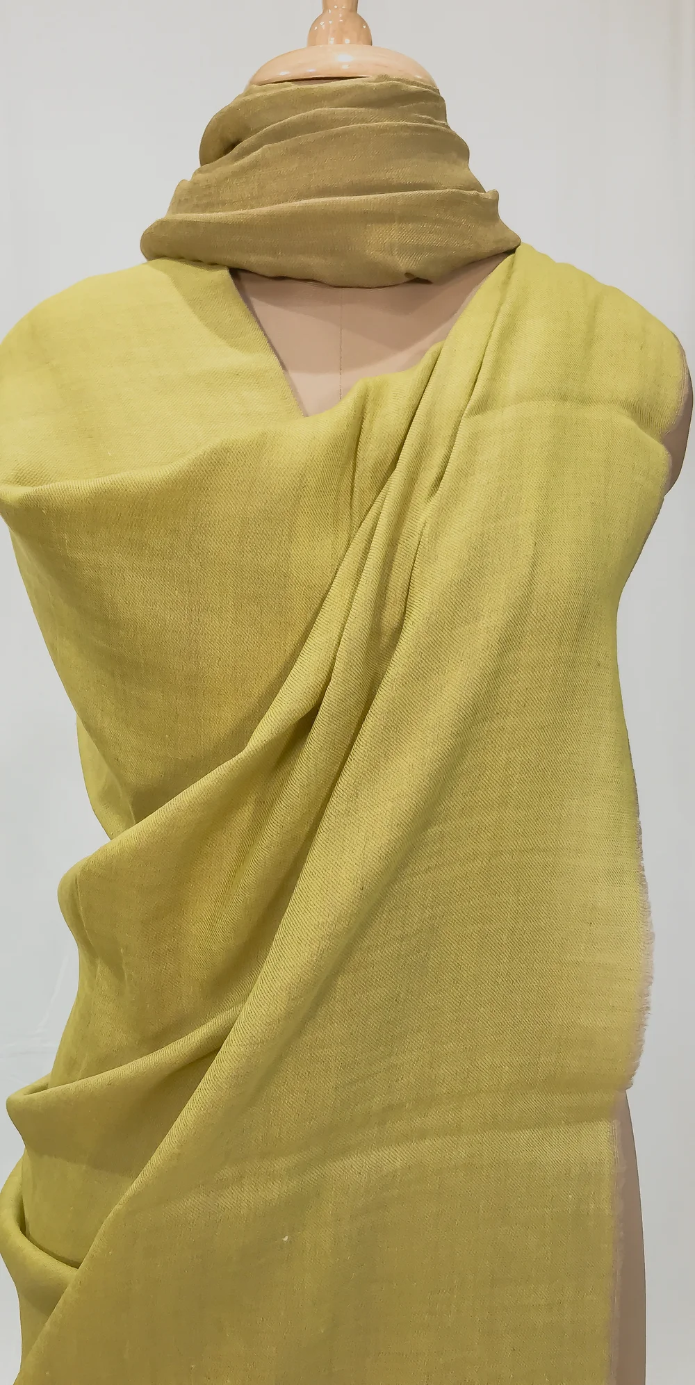 Green and Moss Green Pure Pashmina and Zari Wooven Shawl Front