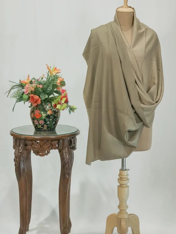 Dark Beige and Light Beige Pure Pashmina Reversible Shawl