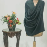 Zari Reversible Green Pure Pashmina Shawl
