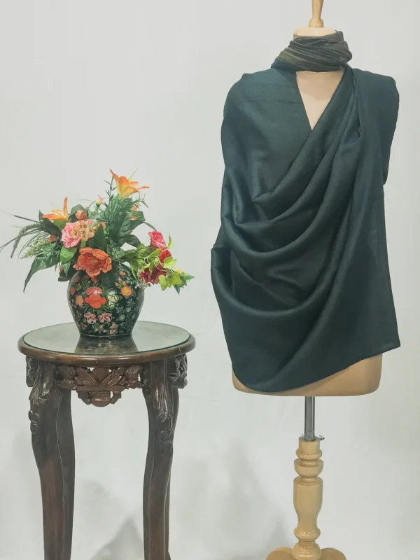 Zari Reversible Green Pure Pashmina Shawl