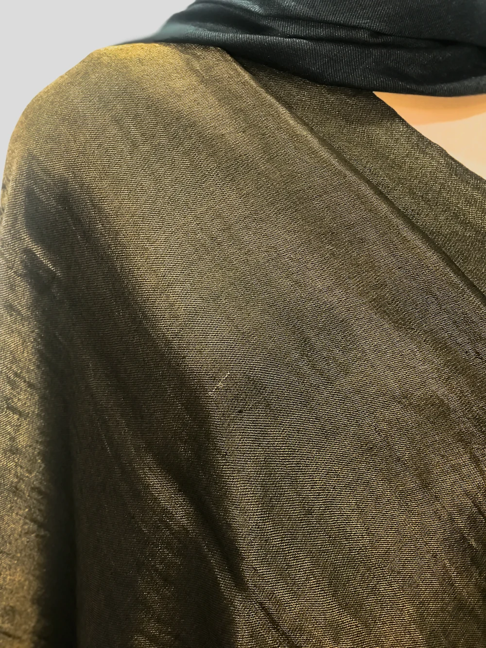 Zari Reversible Green Pure Pashmina Shawl front