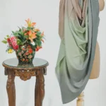 Fawn, Green and Dark Grey Pure Pashmina Ombre Shawl