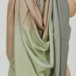 Fawn, Green and Dark Grey Pure Pashmina Ombre Shawl Front
