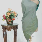 Light Teal Green and Multi-Colour Space Dye Reversible Pure Pashmina Shawl