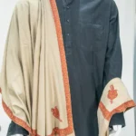 Natural Beige Pure Pashmina Shawl With Paisley Sozni Hand Embroidery Front