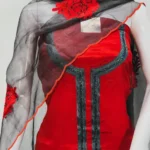 Red Chinon Upper And Dove Grey Crepe Bottom Salwar Suit with Aari Work Kardana Highlihtings and Organza Dupatta Front