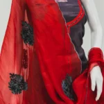 Dove Grey Chinon Upper And Red Crepe Bottom Salwar Suit with Aari Work Kardana Highlihtings and Organza Dupatta Front