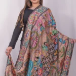 Multi Coloured Pure Pashmina Shawl With Artistic Kalamkari Hand Embroidery