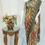 Multi- Colour Pure Pashmina Ikat Saree