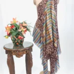 Multi Coloured Pure Pashmina Shawl With Sozni hand Embroidery