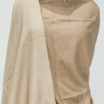 Beige and Natural Beige Pure Pashmina Reversible Shawl Front