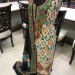 Kashmiri Aari Embroidered Suit
