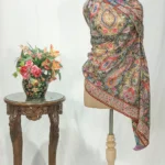 Multi-Colour Pure Pashmina Kalamkari Shawl Hand Painted and Hand Embroidered