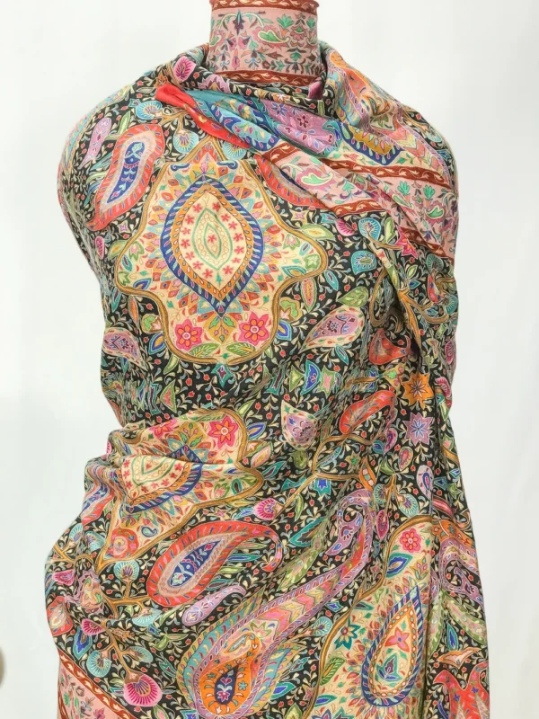 Multi-Colour Pure Pashmina Kalamkari Shawl Hand Painted and Hand Embroidered Front