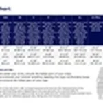 Olive Green Kashmiri Aari Embroidered Long JacketOlive Green Aari Embroidery Art Raw Silk Jacket