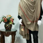 Dark Beige Pure Pashmina Shawl With Sozni Hand Embroidery