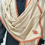 Beige Pure Pashmina Shawl With Intricate Sozni Hand Embroidery front
