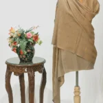 Beige Base and Multi-Colour Space Dye Pure Pashmina Shawl