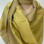 Zari Reversible Pine Green Pure Pashmina Shawl front