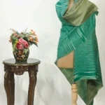 Green and Beige Space Dye Zari Reversible Pure Pashmina Shawl