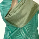 Green and Beige Space Dye Zari Reversible Pure Pashmina Shawl front