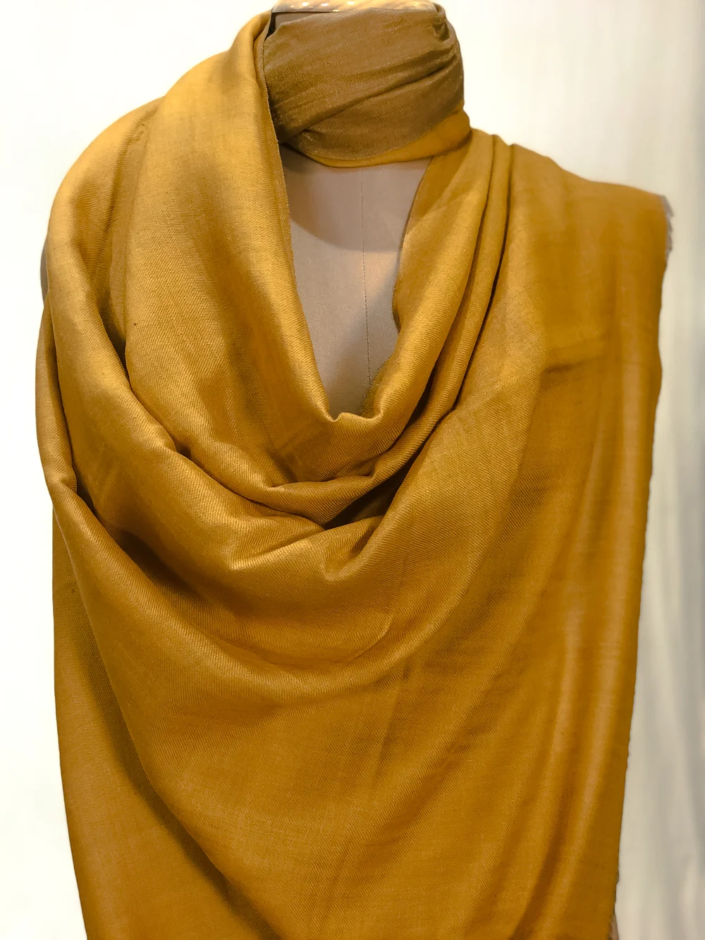 Mustard Zari Reversible Pure Pashmina Shawl front