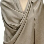 Beige Pure Pashmina Shawl fron