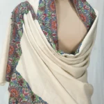 Off-White Pure Pashmina Shawl With Papier Mache Border Design front