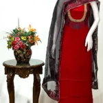 Red Salwar Suit with Kashmiri Aari Embroidery and Kardana on Neckline