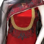 Red Salwar Suit with Kashmiri Aari Embroidery and Kardana on Neckline front
