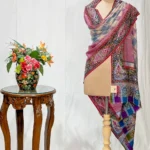 Multi-Colour Kalamkari Border on Ikat Pure Pashmina Shawl