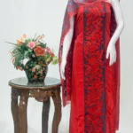 Red Salwar Suit with Kashmiri Aari Embroidery