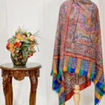 Multi-Colour Pure Pashmina Shawl with Kalamkari Hand Embroidery Hand Paint