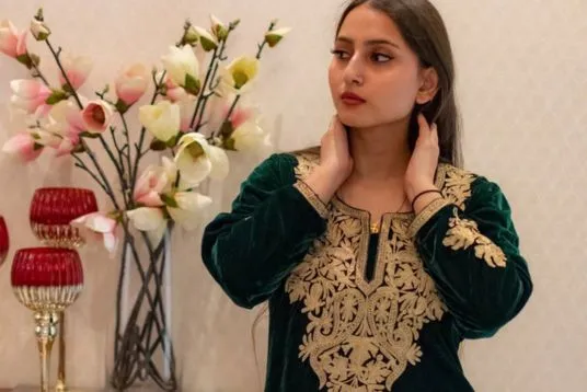 kashmiri kurti design