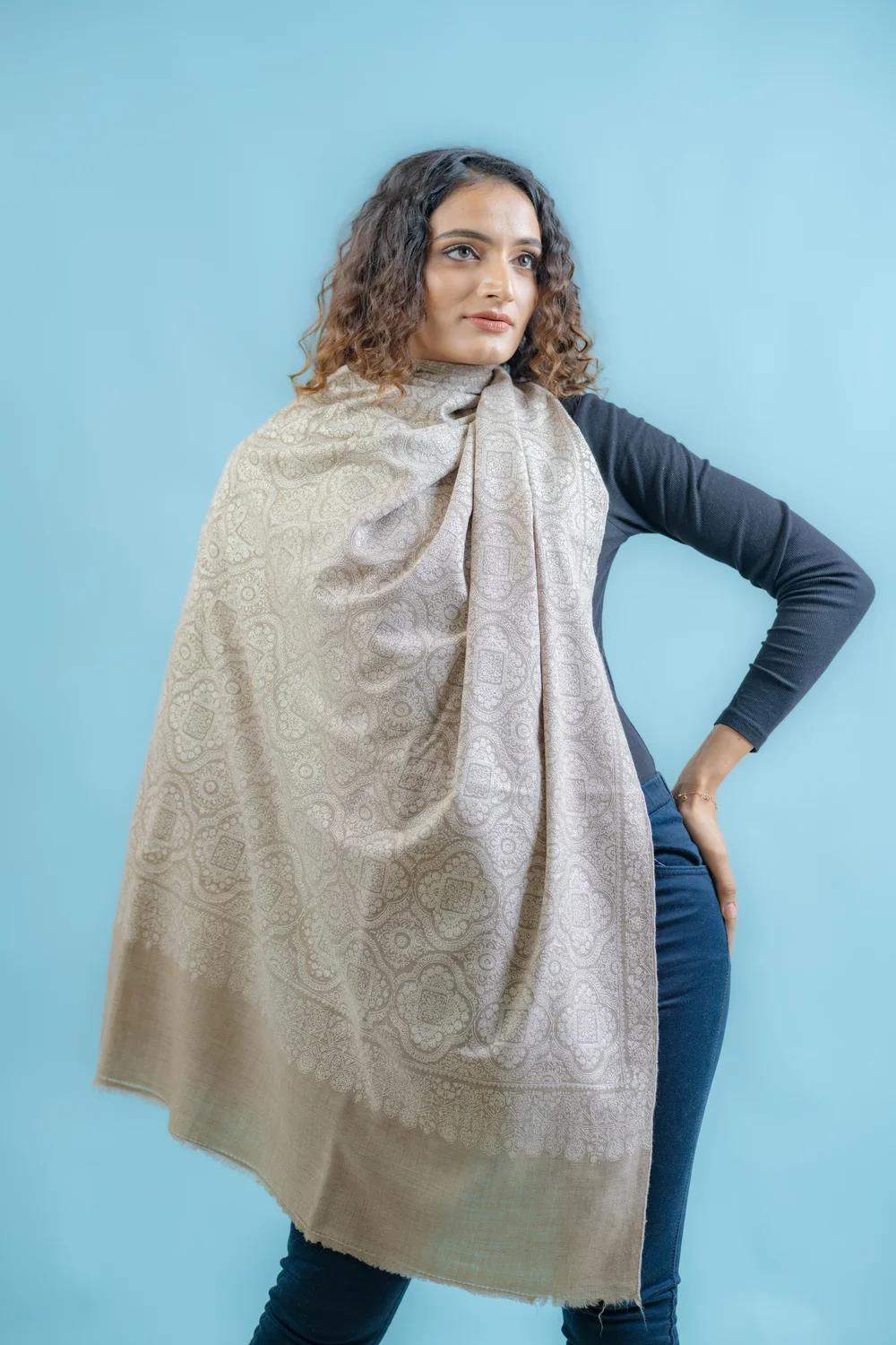 Pure Pashmina Women Kashmiri Sozni Jaal Shawl