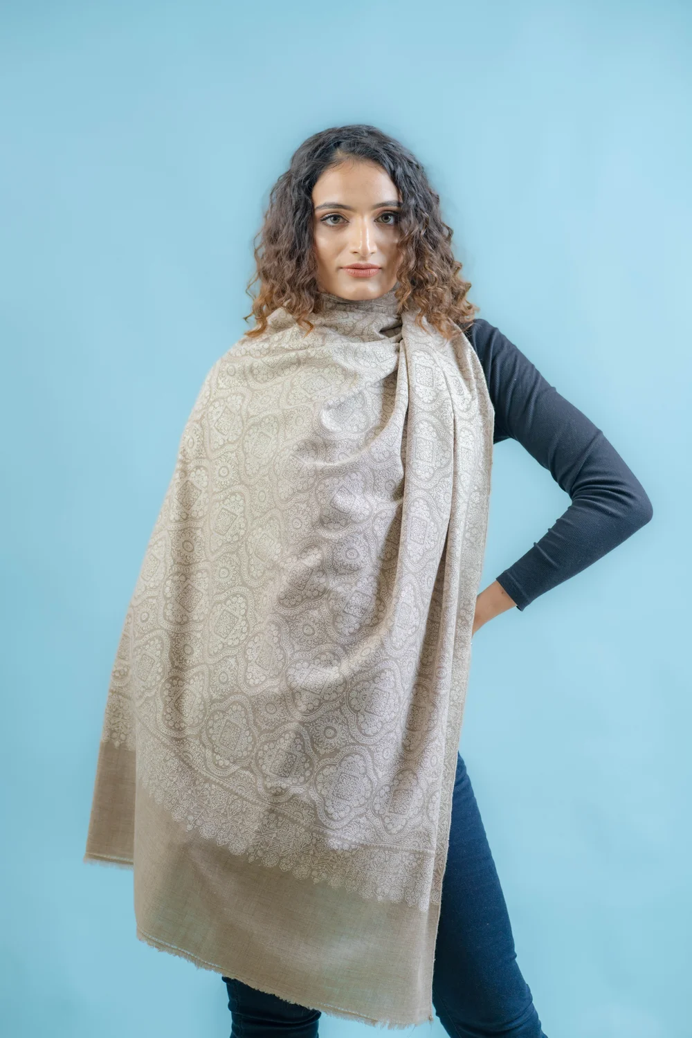 Pure Pashmina Women Kashmiri Sozni Jaal Shawl
